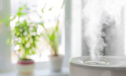 diferencias-entre-un-humidificador-y-un-purificador diferencias entre un humidificador y un purificador de aire