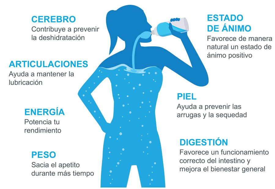 Beneficios de beber agua limpia: cerebro, estado de ánimo, articulaciones, piel, energía, digestión y peso